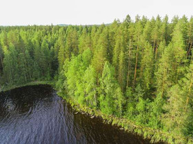 7005m², Paljakkavesi, Kiukkaansaari Tontti 4, Leppävirta, Tontit, Leppävirta, Tori.fi