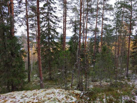Ruonanlahdentie 15, Juokslahti, Jämsä, Metsätilat ja maatilat, Jämsä, Tori.fi Ruonanlahdentie 15, Juokslahti, Jämsä, Metsätilat ja maatilat, Jämsä, Tori.fi
