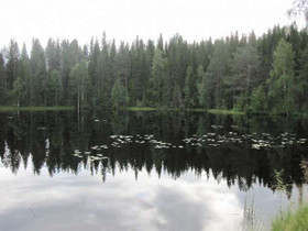 6800m², Alangontie, Pudasjärvi, Tontit, Pudasjärvi, Tori.fi