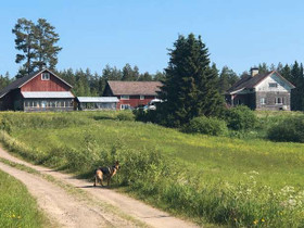 3H, Vähämäentie 439, Kuivasmäki, Petäjävesi, Metsätilat ja maatilat, Petäjävesi, Tori.fi 3H, Vähämäentie 439, Kuivasmäki, Petäjävesi, Metsätilat ja maatilat, Petäjävesi, Tori.fi