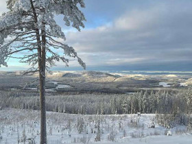 5H, Bergsvägen 9, Hassela, Ulkomaan asunnot, Helsinki, Tori.fi 5H, Bergsvägen 9, Hassela, Ulkomaan asunnot, Helsinki, Tori.fi