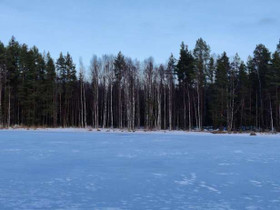 5990m², Keitele, Isosalo Tontti 4, Viitasaari, Tontit, Viitasaari, Tori.fi 5990m², Keitele, Isosalo Tontti 4, Viitasaari, Tontit, Viitasaari, Tori.fi