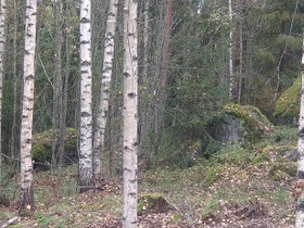 5 ha, Pyydyskorventie 165, KELLOKOSKI, Tontit, Tuusula, Tori.fi 5 ha, Pyydyskorventie 165, KELLOKOSKI, Tontit, Tuusula, Tori.fi