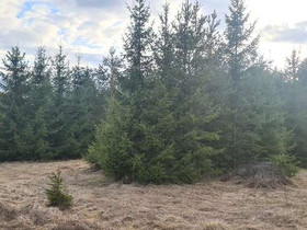 2354m², Tanhuantie 13, Tuusula, Tontit, Tuusula, Tori.fi 2354m², Tanhuantie 13, Tuusula, Tontit, Tuusula, Tori.fi