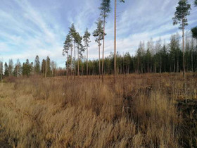 10000m², Vanha Hämeentie 519, Tuusula, Tontit, Tuusula, Tori.fi 10000m², Vanha Hämeentie 519, Tuusula, Tontit, Tuusula, Tori.fi