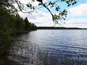 3950m², Kiesimenjärvi Tontti 28, Saarijärvi, Tontit, Saarijärvi, Tori.fi