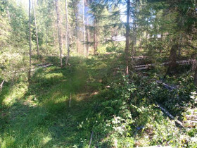 Metsä-Koskelantie 88, Sahlo, Jämsä, Metsätilat ja maatilat, Jämsä, Tori.fi Metsä-Koskelantie 88, Sahlo, Jämsä, Metsätilat ja maatilat, Jämsä, Tori.fi