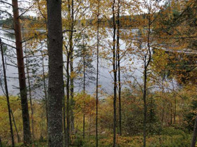 Kylätie 43, Nunnanlahti, Juuka, Metsätilat ja maatilat, Juuka, Tori.fi Kylätie 43, Nunnanlahti, Juuka, Metsätilat ja maatilat, Juuka, Tori.fi