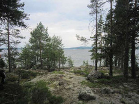10.52 ha, Jänissaaret + 3-luotoa, Luhanka, Tontit, Luhanka, Tori.fi 10.52 ha, Jänissaaret + 3-luotoa, Luhanka, Tontit, Luhanka, Tori.fi