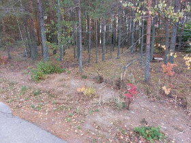 2730m², Gislomintie, Loviisa, Loviisa, Tontit, Loviisa, Tori.fi 2730m², Gislomintie, Loviisa, Loviisa, Tontit, Loviisa, Tori.fi