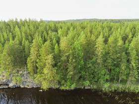 3586m², Paljakkavesi, Kiukkaansaari Tontti 8, Leppävirta, Tontit, Leppävirta, Tori.fi