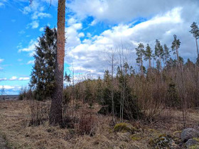 5000m², Huunantie 15, Nurmijärvi, Tontit, Nurmijärvi, Tori.fi