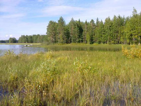 3800m², Oulujärvi Teväsaari 7-1, Paltamo, Tontit, Paltamo, Tori.fi