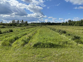 Majaniementie 137, Savolankylä, Ähtäri, Metsätilat ja maatilat, Ähtäri, Tori.fi Majaniementie 137, Savolankylä, Ähtäri, Metsätilat ja maatilat, Ähtäri, Tori.fi