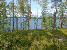 7800m², Kiantajärven eteläosa Kortteli 5, tontti 6, Tontit, Suomussalmi, Tori.fi 7800m², Kiantajärven eteläosa Kortteli 5, tontti 6, Tontit, Suomussalmi, Tori.fi