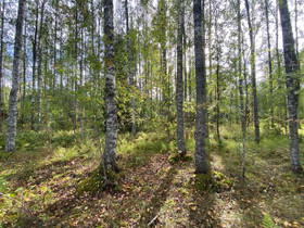 2130m², Vittastaipaleentie 48, Hämeenlinna, Tontit, Hämeenlinna, Tori.fi 2130m², Vittastaipaleentie 48, Hämeenlinna, Tontit, Hämeenlinna, Tori.fi