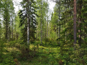 1705m², Paljakan rakennuskaava Kortteli 80, tontti, Tontit, Puolanka, Tori.fi 1705m², Paljakan rakennuskaava Kortteli 80, tontti, Tontit, Puolanka, Tori.fi