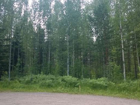 2143m², Mäntykankaantie 19, Hausjärvi, Tontit, Hausjärvi, Tori.fi 2143m², Mäntykankaantie 19, Hausjärvi, Tontit, Hausjärvi, Tori.fi