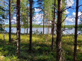 4300m², Pieni-Tevani Otonniementie, kortteli 2 ton, Tontit, Ruokolahti, Tori.fi 4300m², Pieni-Tevani Otonniementie, kortteli 2 ton, Tontit, Ruokolahti, Tori.fi