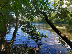 6000m², Pieni-Tevani Kortteli 4, tontti 2, Ruokola, Tontit, Ruokolahti, Tori.fi 6000m², Pieni-Tevani Kortteli 4, tontti 2, Ruokola, Tontit, Ruokolahti, Tori.fi