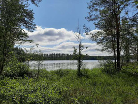 5640m², Raudanvesi Kortteli 2, tontti 3, Sonkajärv, Tontit, Sonkajärvi, Tori.fi