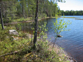 5000m², Merkkivirta Kortteli 4, tontti 1, Suomussa, Tontit, Suomussalmi, Tori.fi 5000m², Merkkivirta Kortteli 4, tontti 1, Suomussa, Tontit, Suomussalmi, Tori.fi
