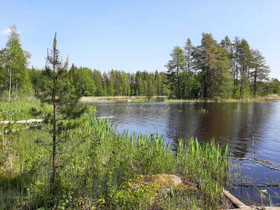 4.11 ha, Konnusvesi, Pirttikoski, Leppävirta, Tontit, Leppävirta, Tori.fi 4.11 ha, Konnusvesi, Pirttikoski, Leppävirta, Tontit, Leppävirta, Tori.fi