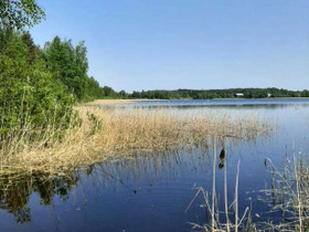 3950m², Osmajärvi, Haukilahti Kortteli 1, tontti 1, Leppävirta, Tontit, Leppävirta, Tori.fi