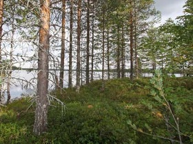 6805m², Teerivaarantie 19, Hyrynsalmi, Tontit, Hyrynsalmi, Tori.fi 6805m², Teerivaarantie 19, Hyrynsalmi, Tontit, Hyrynsalmi, Tori.fi