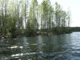 3700m², Kivistönpolku 54, Ruokolahti, Tontit, Ruokolahti, Tori.fi 3700m², Kivistönpolku 54, Ruokolahti, Tontit, Ruokolahti, Tori.fi