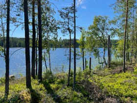 5000m², Lääväkorventie 463, Ruokolahti, Tontit, Ruokolahti, Tori.fi 5000m², Lääväkorventie 463, Ruokolahti, Tontit, Ruokolahti, Tori.fi