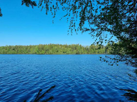4050m², Kyynäröinen, tontti 4, Hämeenlinna, Tontit, Hämeenlinna, Tori.fi 4050m², Kyynäröinen, tontti 4, Hämeenlinna, Tontit, Hämeenlinna, Tori.fi