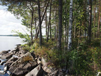 8336m², Suurijärvi Kortteli 5, tontti 1, Liperi