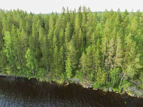 4731m², Paljakkavesi, Kiukkaansaari Tontti 6, Lepp, Tontit, Leppävirta, Tori.fi 4731m², Paljakkavesi, Kiukkaansaari Tontti 6, Lepp, Tontit, Leppävirta, Tori.fi