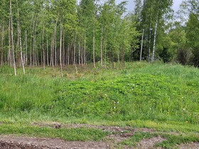 5810m², Alastenkuja 3, Rauma, Tontit, Rauma, Tori.fi 5810m², Alastenkuja 3, Rauma, Tontit, Rauma, Tori.fi