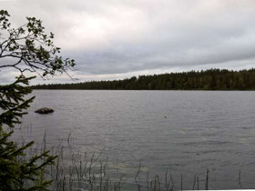 5650m², Puolangantie 124, Hyrynsalmi, Tontit, Hyrynsalmi, Tori.fi 5650m², Puolangantie 124, Hyrynsalmi, Tontit, Hyrynsalmi, Tori.fi