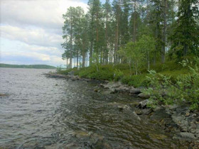 8700m², Kiantajärven eteläosa Kortteli 5, tontti 7, Tontit, Suomussalmi, Tori.fi 8700m², Kiantajärven eteläosa Kortteli 5, tontti 7, Tontit, Suomussalmi, Tori.fi