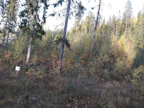 532m², Ukkohalla, Tervakuja Kortteli 67, tontti 3,, Tontit, Hyrynsalmi, Tori.fi 532m², Ukkohalla, Tervakuja Kortteli 67, tontti 3,, Tontit, Hyrynsalmi, Tori.fi