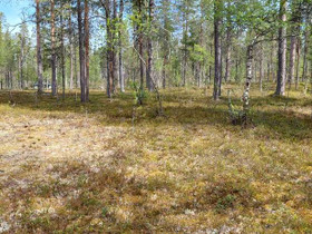2999m², Kakslauttanen, Asentopolku AP 51-2, Sodank, Tontit, Inari, Tori.fi