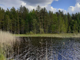 4960m², Käävänpolku 2, Savonlinna, Tontit, Savonlinna, Tori.fi 4960m², Käävänpolku 2, Savonlinna, Tontit, Savonlinna, Tori.fi