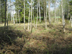 2100m², stengärdet Terejärv, Kruunupyy, Tontit, Kruunupyy, Tori.fi 2100m², stengärdet Terejärv, Kruunupyy, Tontit, Kruunupyy, Tori.fi