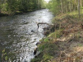 2100m², stengärdet Terejärvi, Kruunupyy, Tontit, Kruunupyy, Tori.fi 2100m², stengärdet Terejärvi, Kruunupyy, Tontit, Kruunupyy, Tori.fi