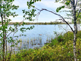4700m², Ahveninen, Puutisenlahti Kortteli 21, tont, Tontit, Rautavaara, Tori.fi 4700m², Ahveninen, Puutisenlahti Kortteli 21, tont, Tontit, Rautavaara, Tori.fi