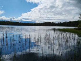6200m², Ahveninen Tontti 9, Multia, Tontit, Multia, Tori.fi 6200m², Ahveninen Tontti 9, Multia, Tontit, Multia, Tori.fi