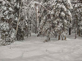 1850m², Pitkäjärventie, Kittilä, Kittilä, Tontit, Kittilä, Tori.fi 1850m², Pitkäjärventie, Kittilä, Kittilä, Tontit, Kittilä, Tori.fi