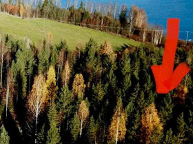 5000m², Suorannatie 1, Tikkala, Tontit, Jyväskylä, Tori.fi 5000m², Suorannatie 1, Tikkala, Tontit, Jyväskylä, Tori.fi