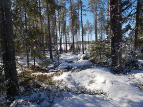 5000m², Vähäläntie, Siikajoki, Tontit, Siikajoki, Tori.fi