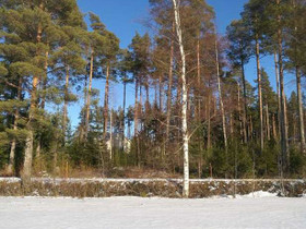 2200m², Mäntysaarentie, Nakkila, Tontit, Nakkila, Tori.fi 2200m², Mäntysaarentie, Nakkila, Tontit, Nakkila, Tori.fi