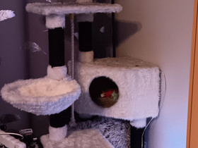 Kissin puu, Kissojen tarvikkeet, Lemmikkieläimet, Imatra, Tori.fi Kissin puu, Kissojen tarvikkeet, Lemmikkieläimet, Imatra, Tori.fi