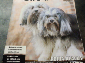 Koiralehtiä, Muut kirjat ja lehdet, Kirjat ja lehdet, Seinäjoki, Tori.fi Koiralehtiä, Muut kirjat ja lehdet, Kirjat ja lehdet, Seinäjoki, Tori.fi